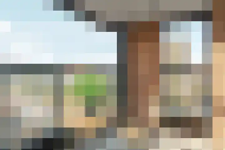 Europaweg 1457 Haarlem thumbnail 8