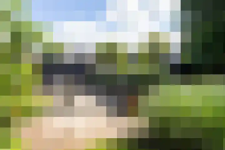 Europaweg 151 Schoonebeek thumbnail 34