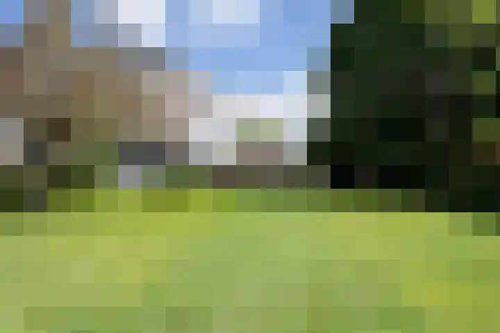Europaweg 151 Schoonebeek thumbnail 35
