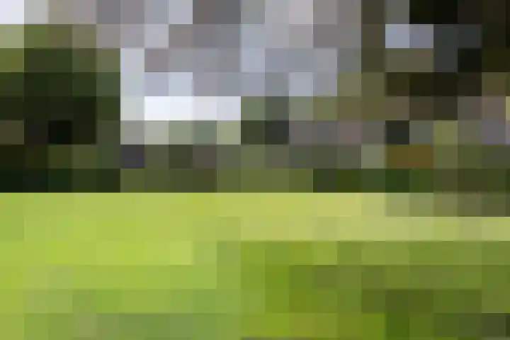 Europaweg 151 Schoonebeek thumbnail 36