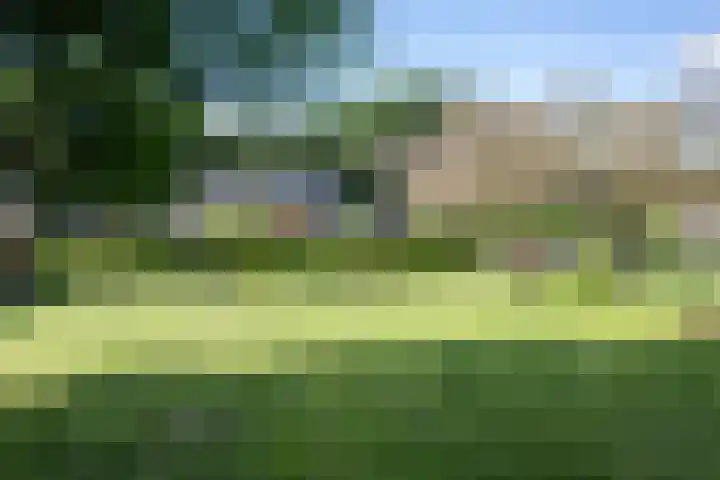 Europaweg 151 Schoonebeek thumbnail 37