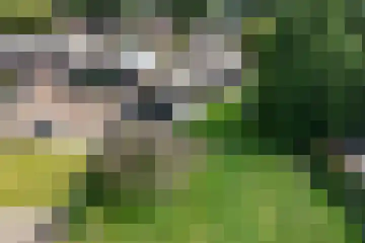Europaweg 151 Schoonebeek thumbnail 40