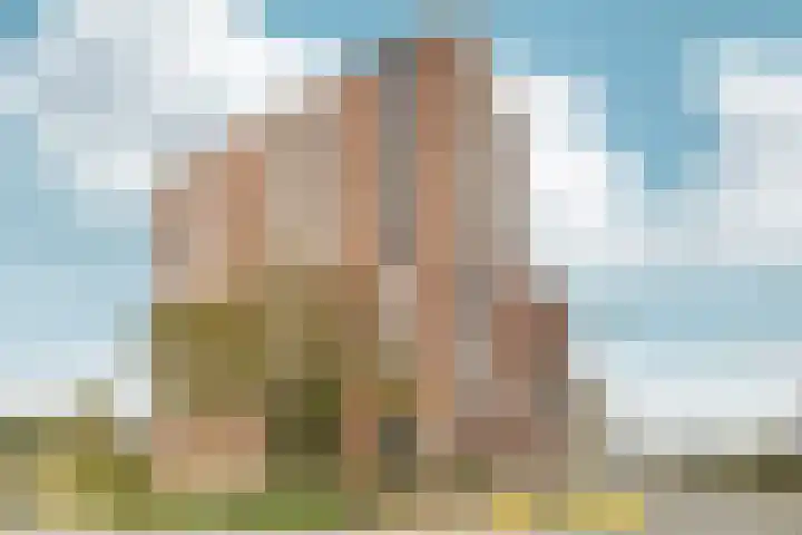 Europaweg 1547 Haarlem thumbnail 15