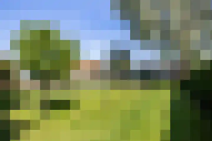 Europaweg 163 Schoonebeek thumbnail 10