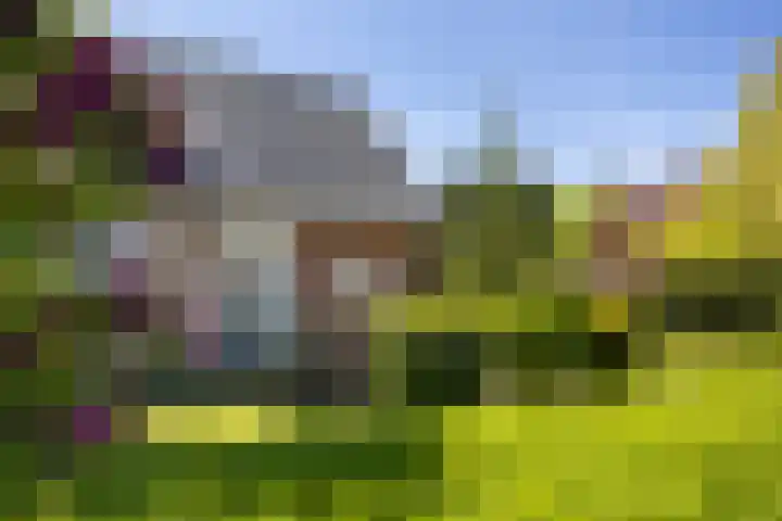 Europaweg 163 Schoonebeek thumbnail 12