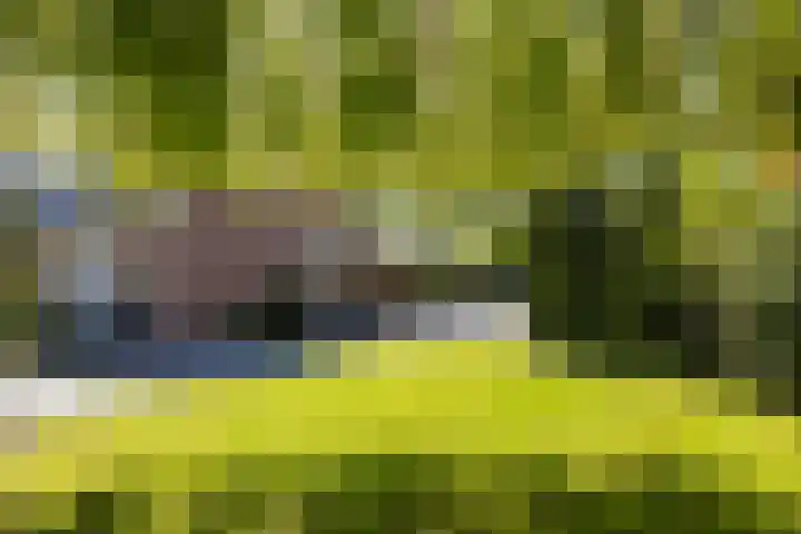 Europaweg 163 Schoonebeek thumbnail 42