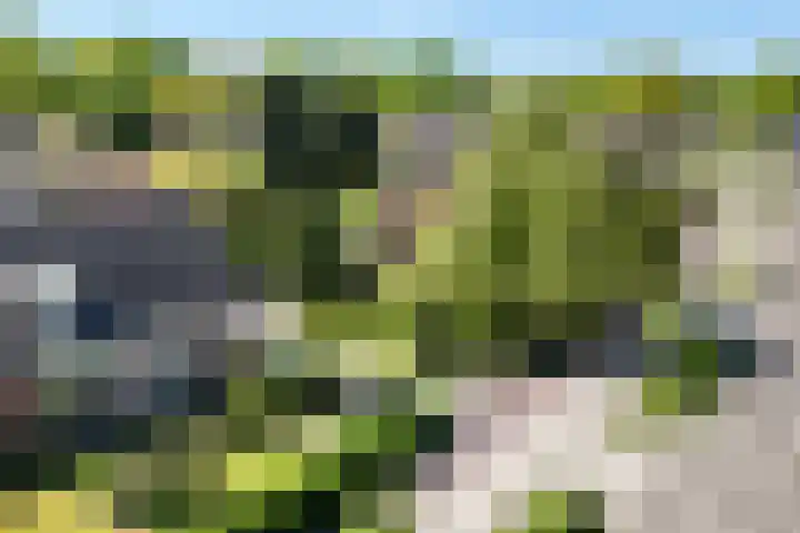 Europaweg 163 Schoonebeek thumbnail 45