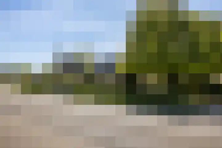 Europaweg 163 Schoonebeek thumbnail 46