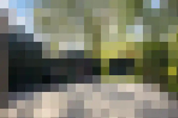 Europaweg 163 Schoonebeek thumbnail 5