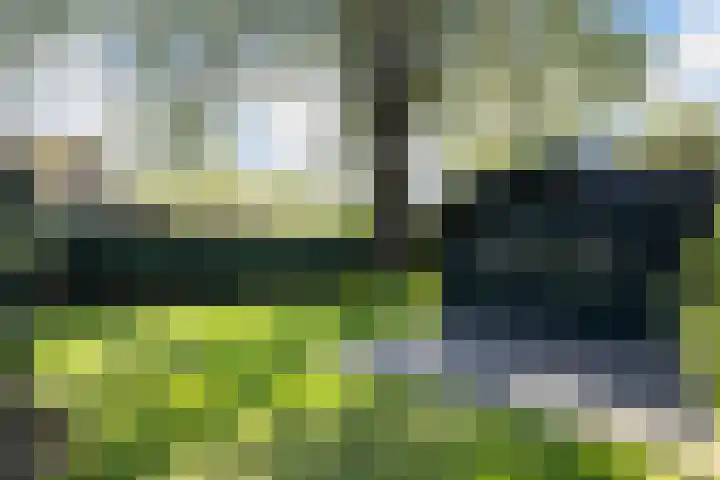 Europaweg 163 Schoonebeek thumbnail 6