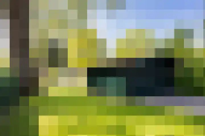 Europaweg 163 Schoonebeek thumbnail 7