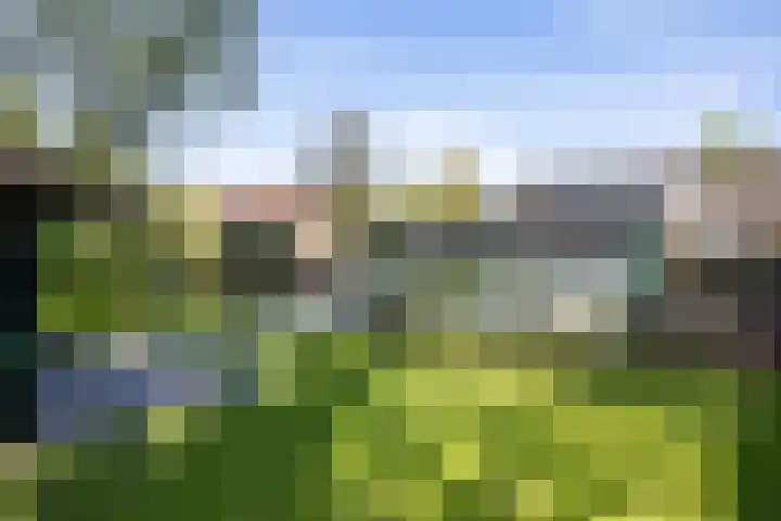 Europaweg 163 Schoonebeek thumbnail 8