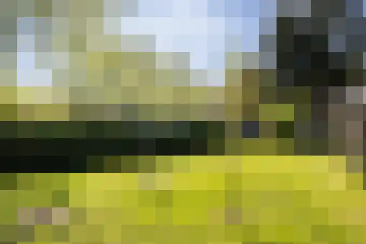 Europaweg 163 Schoonebeek thumbnail 9