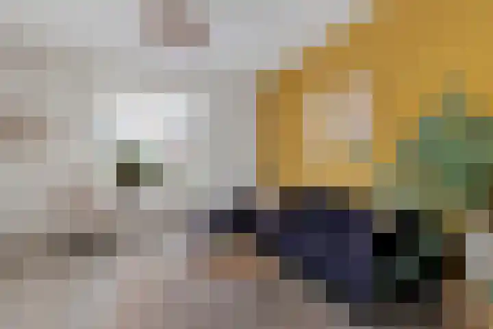 Europaweg 187 Schoonebeek thumbnail 14