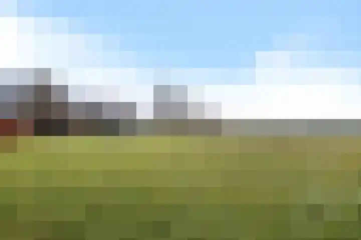 Europaweg 187 Schoonebeek thumbnail 4