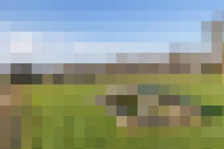 Europaweg 187 Schoonebeek thumbnail 5