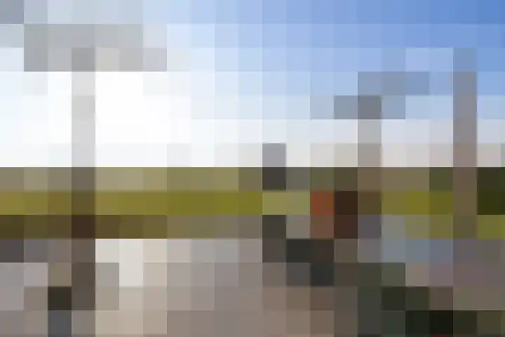 Europaweg 187 Schoonebeek thumbnail 51