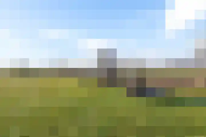 Europaweg 187 Schoonebeek thumbnail 52