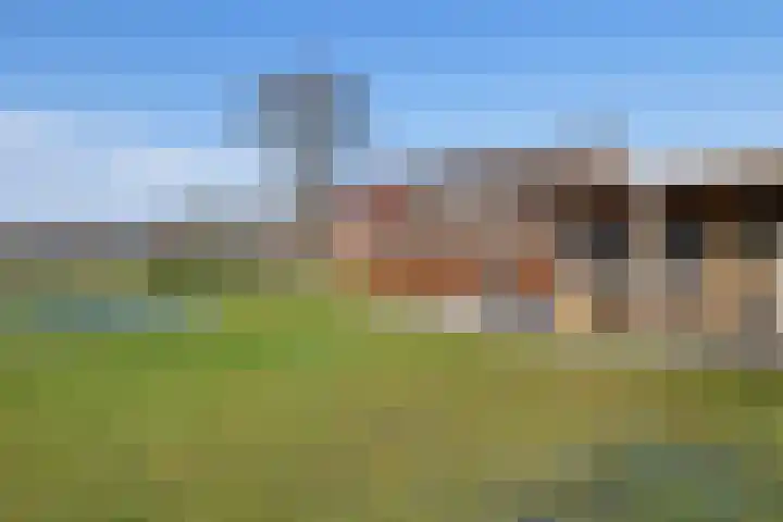Europaweg 187 Schoonebeek thumbnail 53
