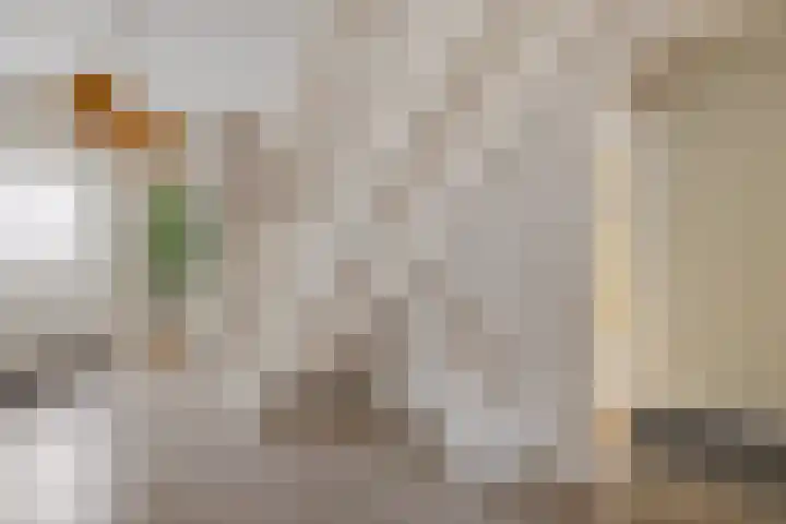 Europaweg 187 Schoonebeek thumbnail 8