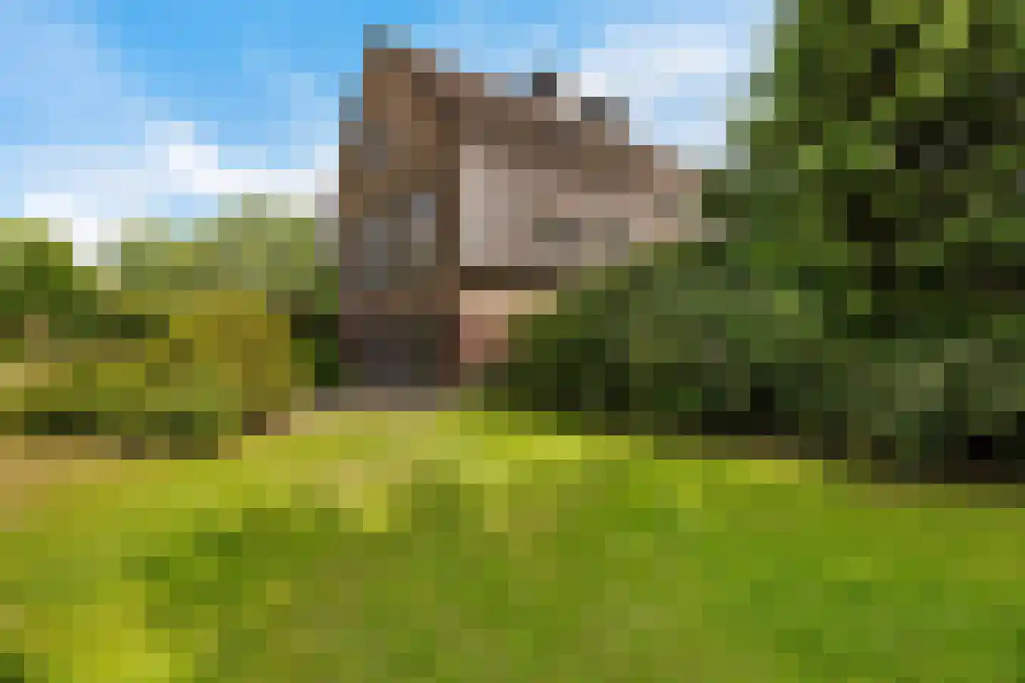 Europaweg 189 A Schoonebeek thumbnail 10