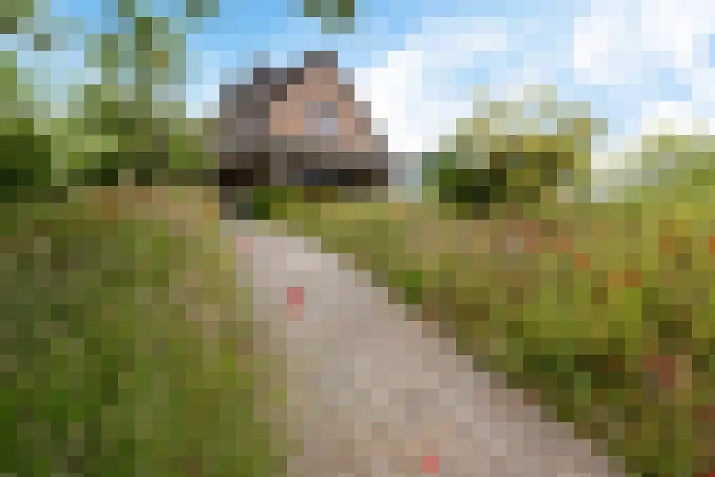 Europaweg 189 A Schoonebeek thumbnail 12