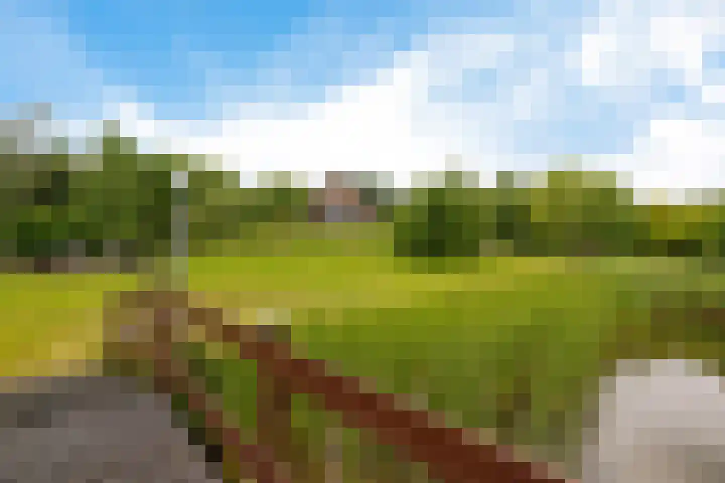 Europaweg 189 A Schoonebeek thumbnail 16