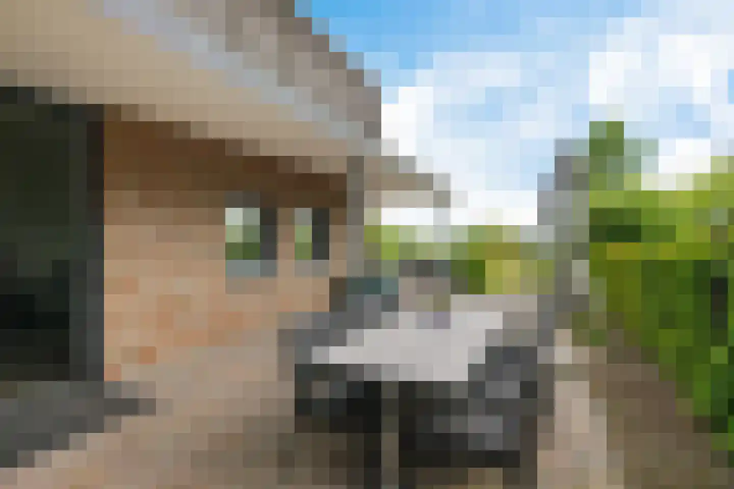 Europaweg 189 A Schoonebeek thumbnail 22