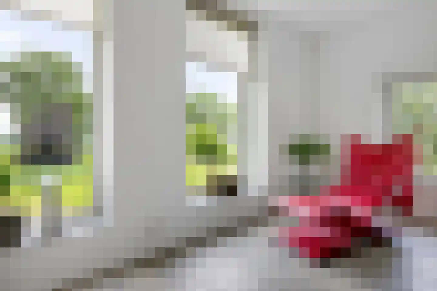 Europaweg 189 A Schoonebeek thumbnail 32