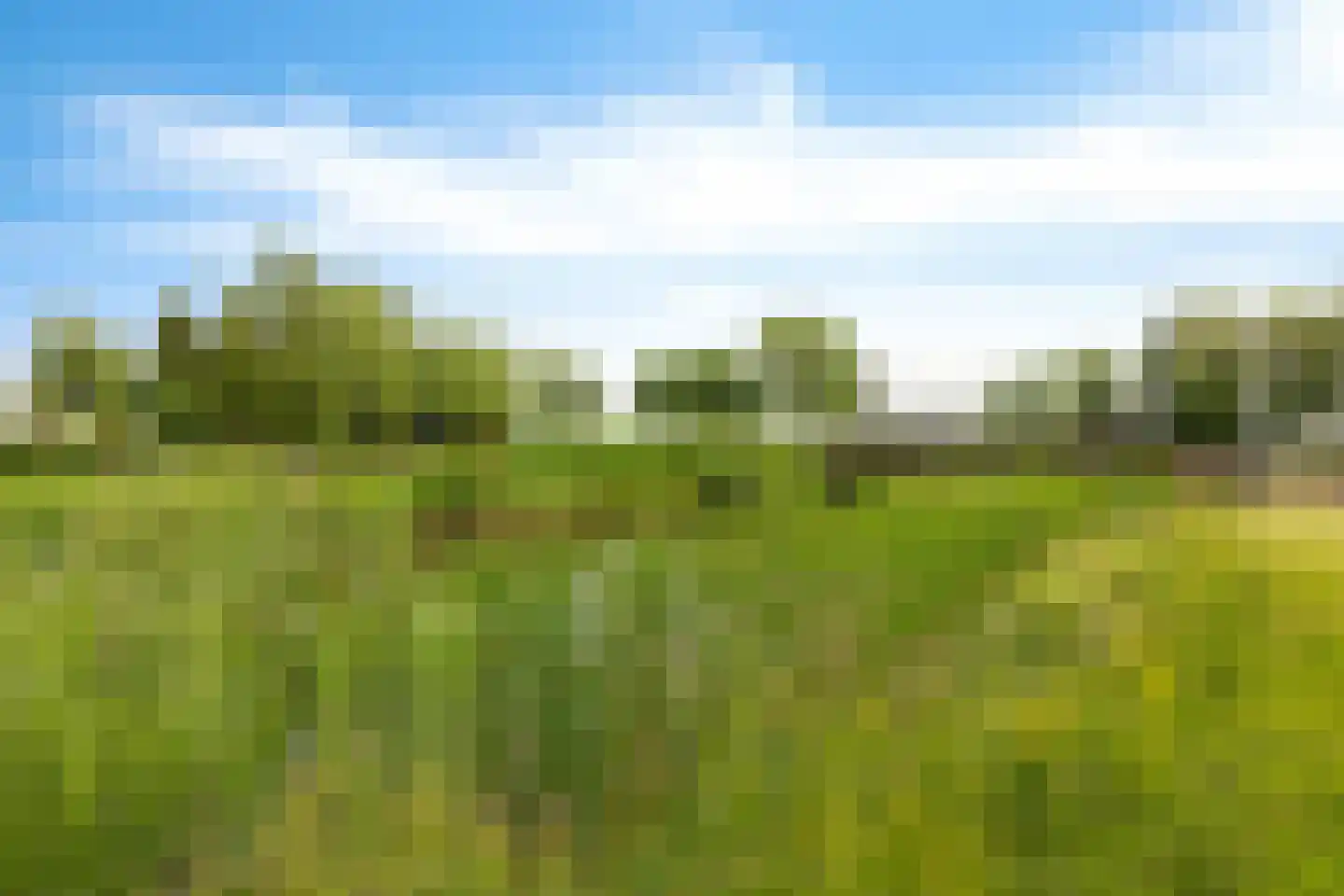 Europaweg 189 A Schoonebeek thumbnail 59