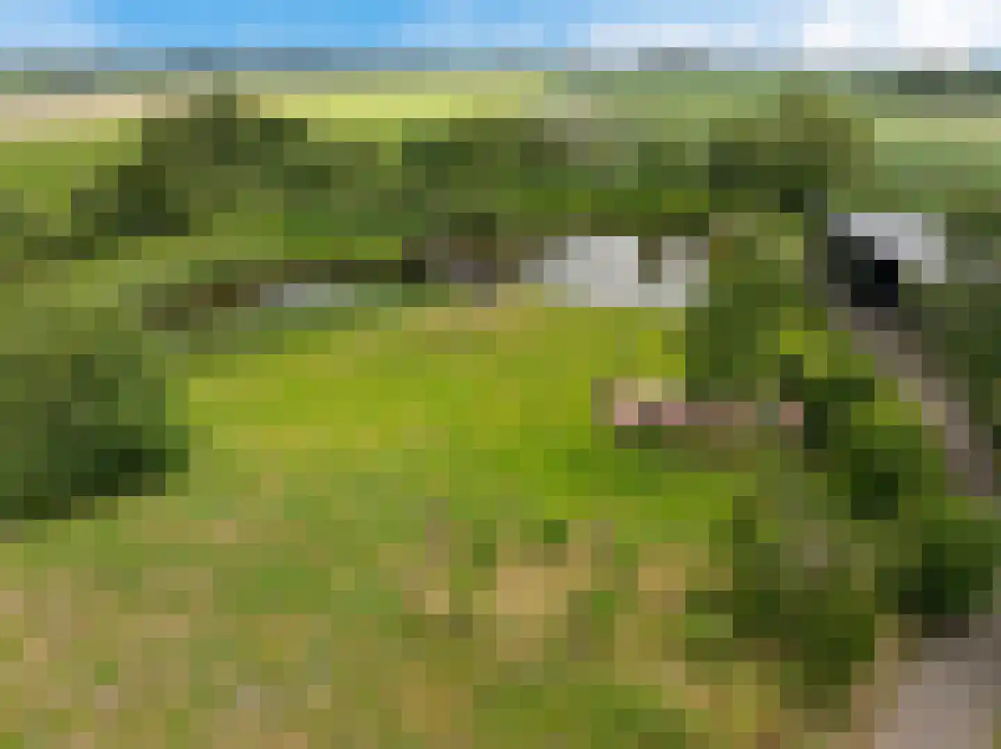 Europaweg 189 A Schoonebeek thumbnail 6