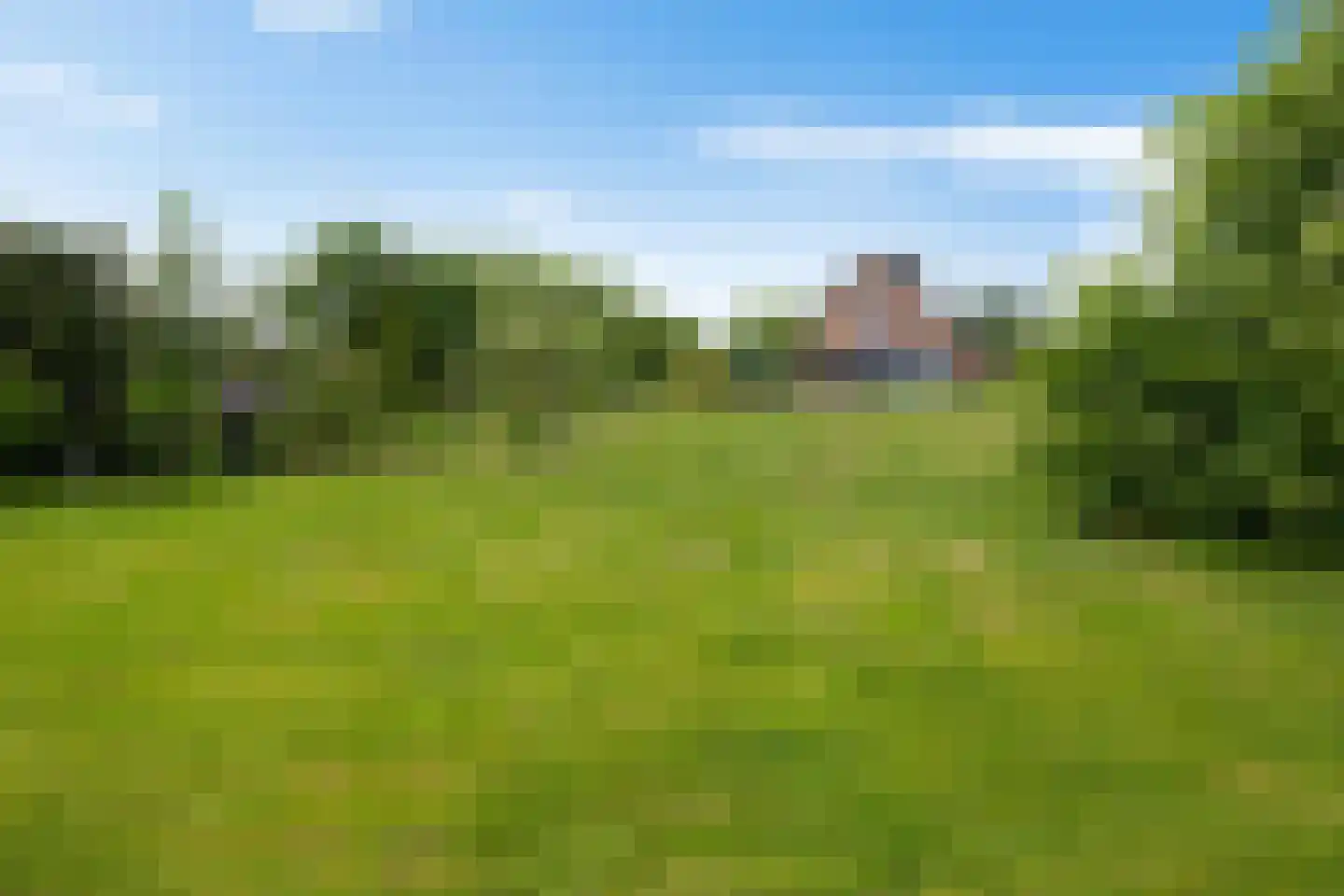 Europaweg 189 A Schoonebeek thumbnail 60
