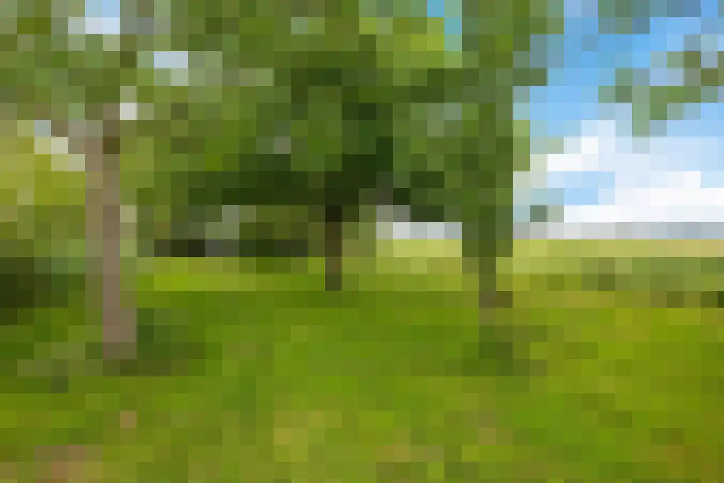 Europaweg 189 A Schoonebeek thumbnail 63