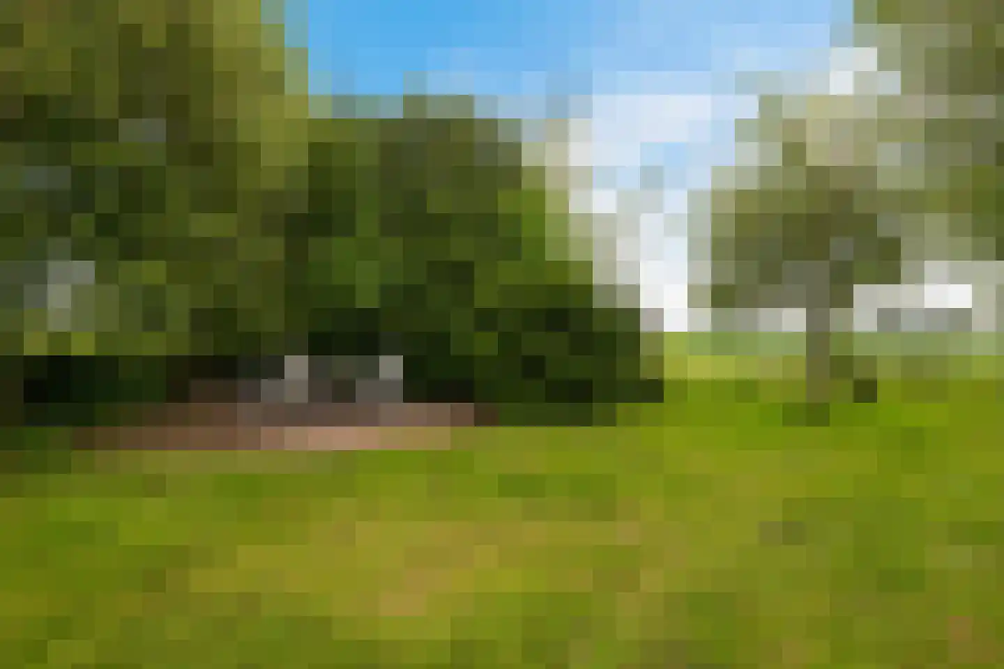 Europaweg 189 A Schoonebeek thumbnail 64