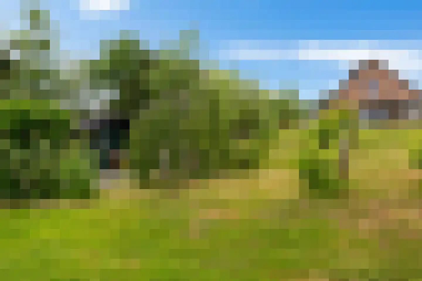 Europaweg 189 A Schoonebeek thumbnail 65