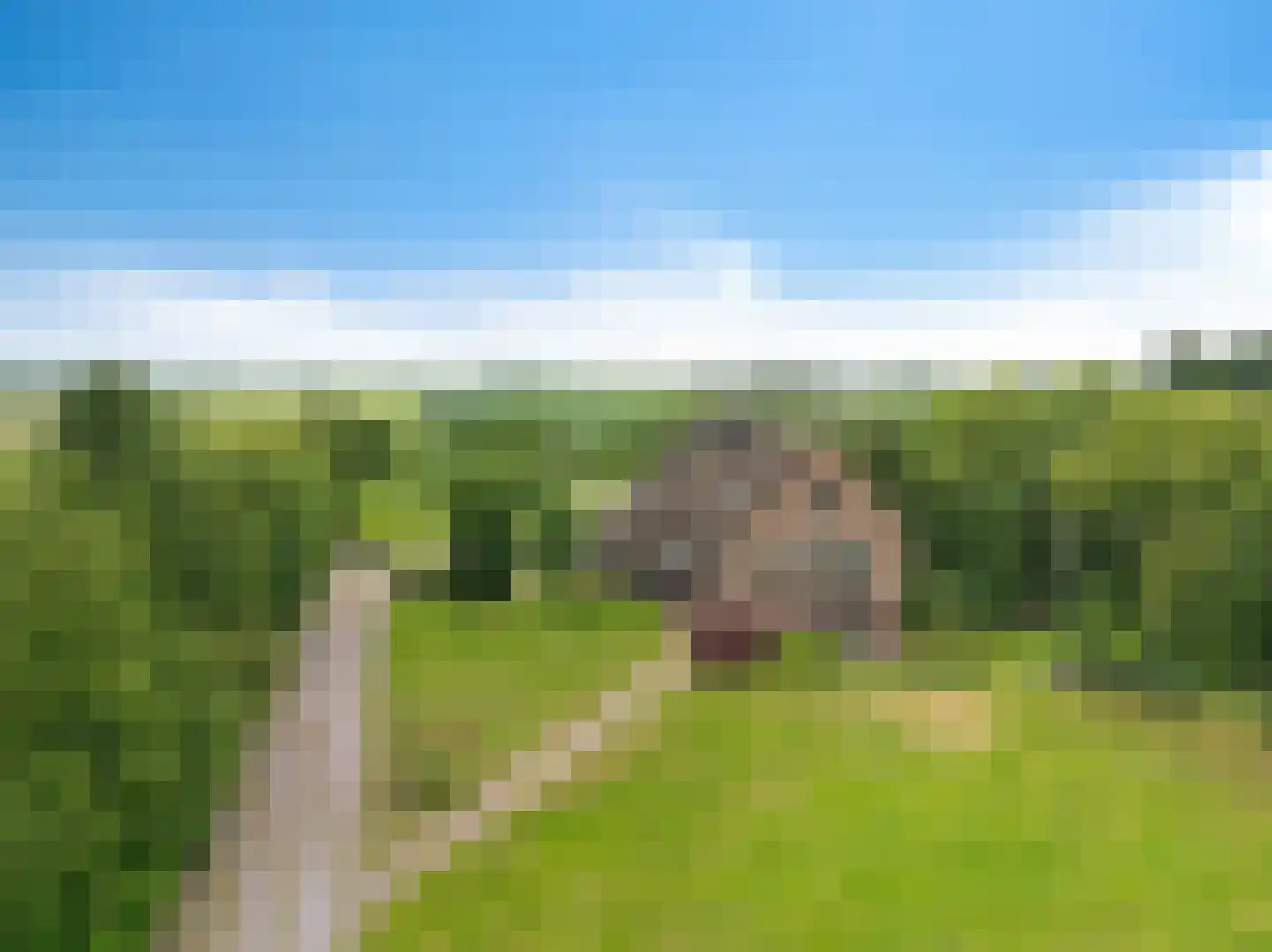 Europaweg 189 A Schoonebeek thumbnail 66