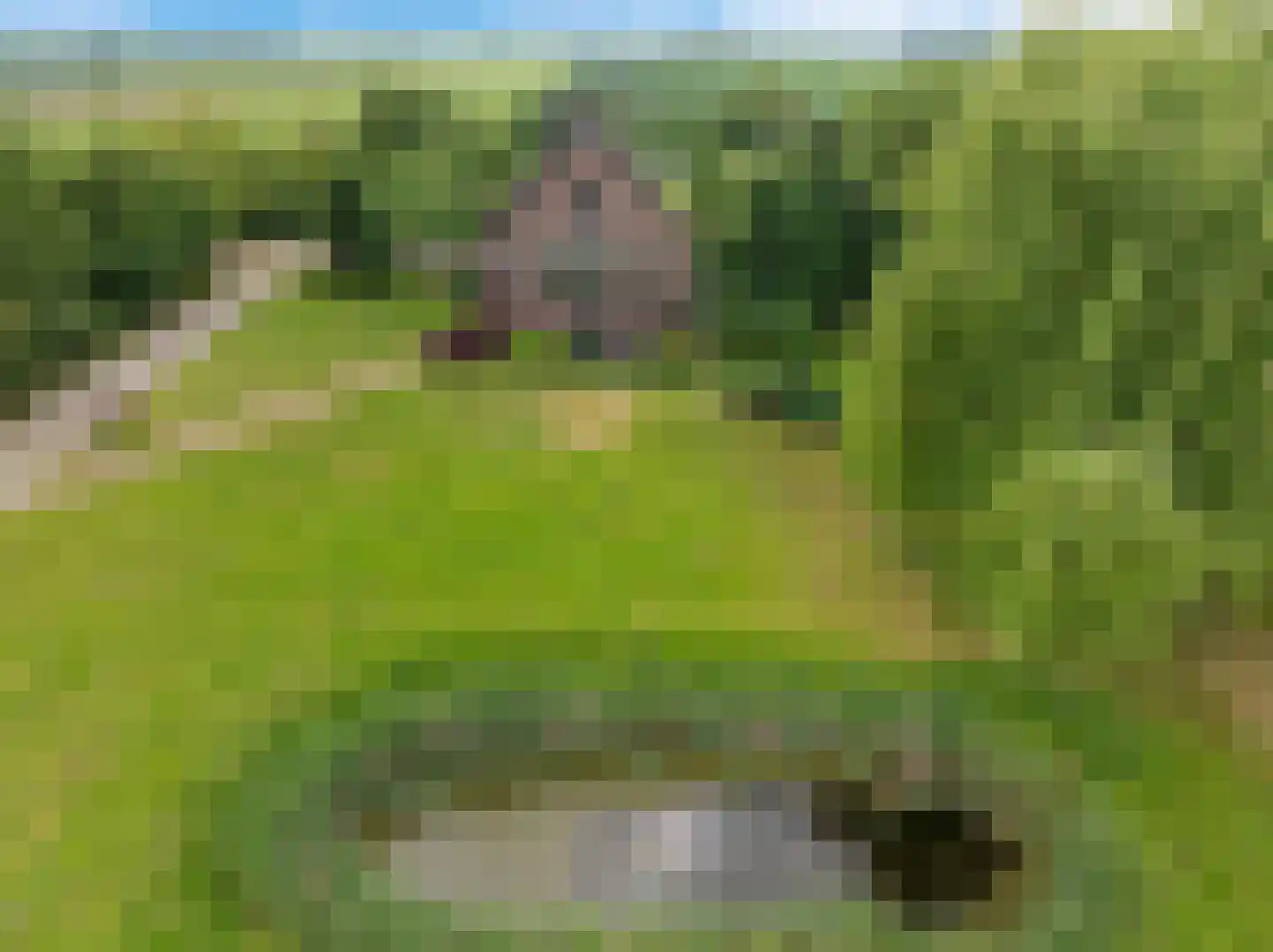 Europaweg 189 A Schoonebeek thumbnail 67