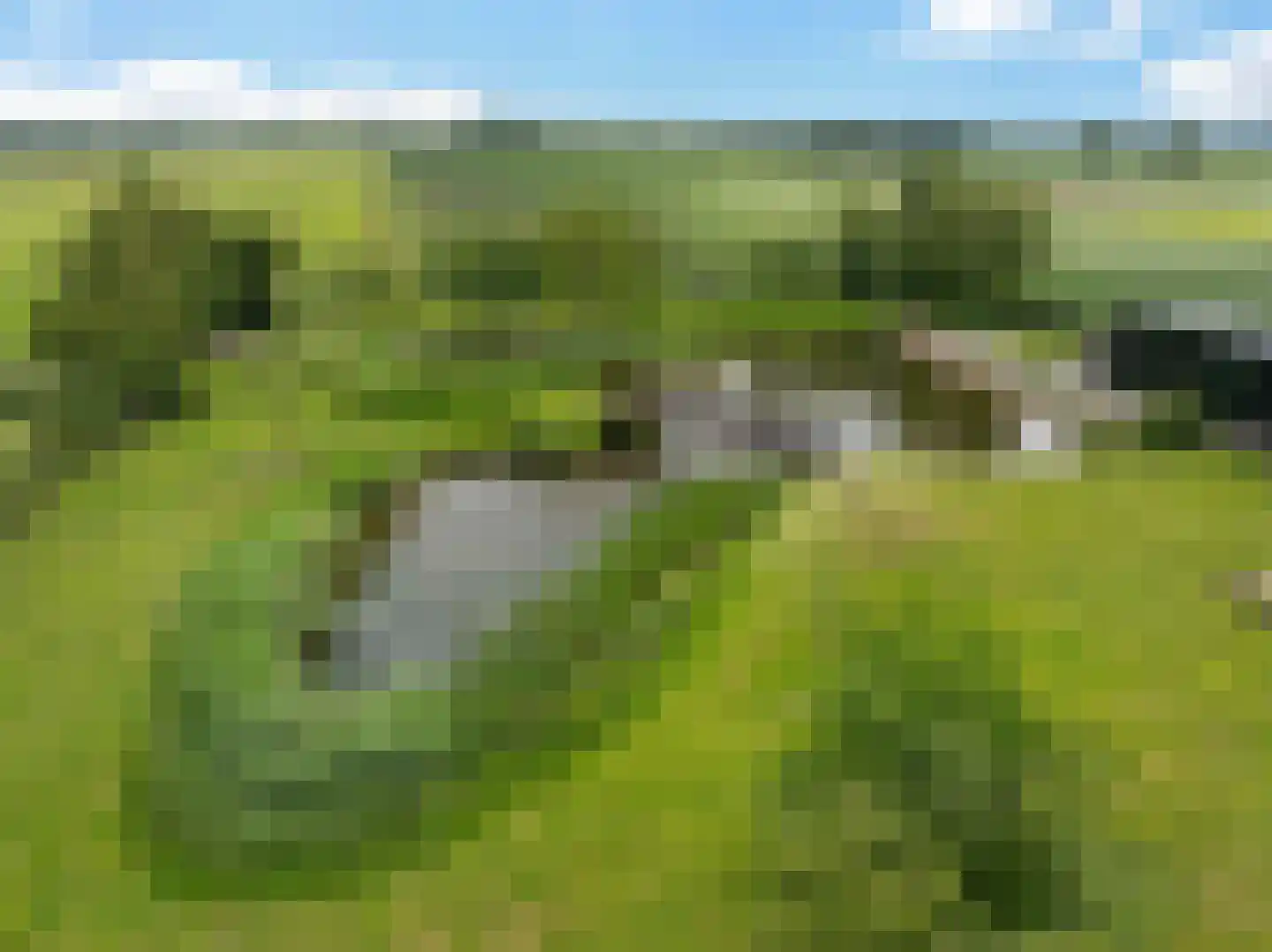 Europaweg 189 A Schoonebeek thumbnail 69