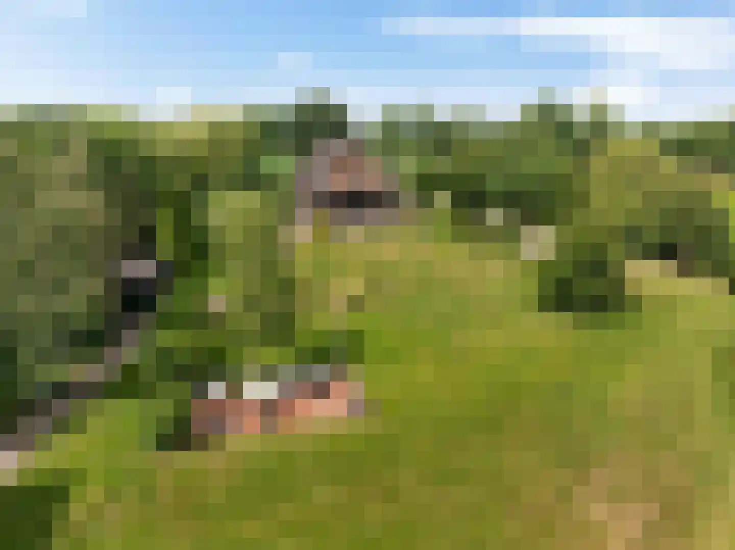 Europaweg 189 A Schoonebeek thumbnail 7