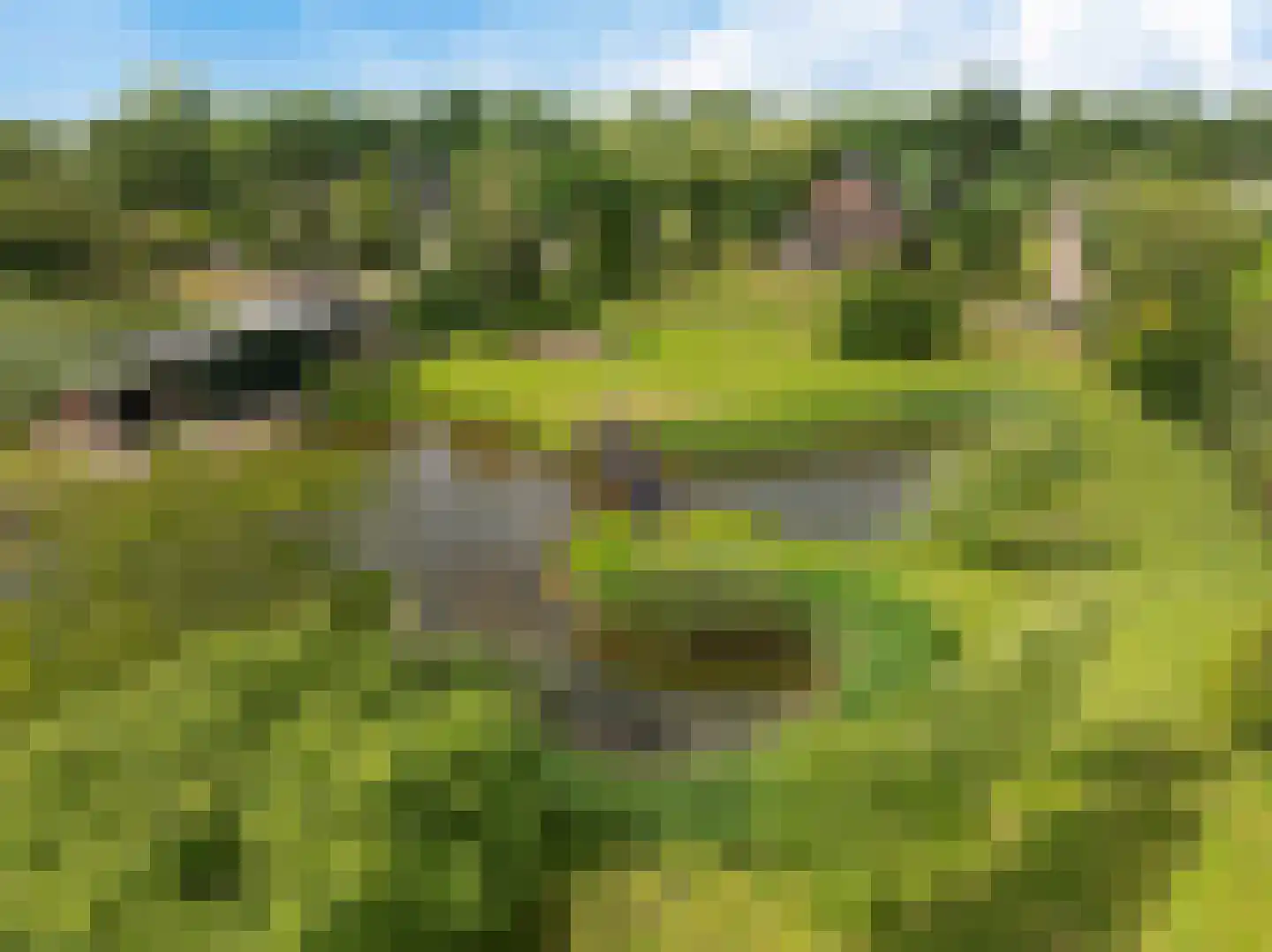 Europaweg 189 A Schoonebeek thumbnail 70