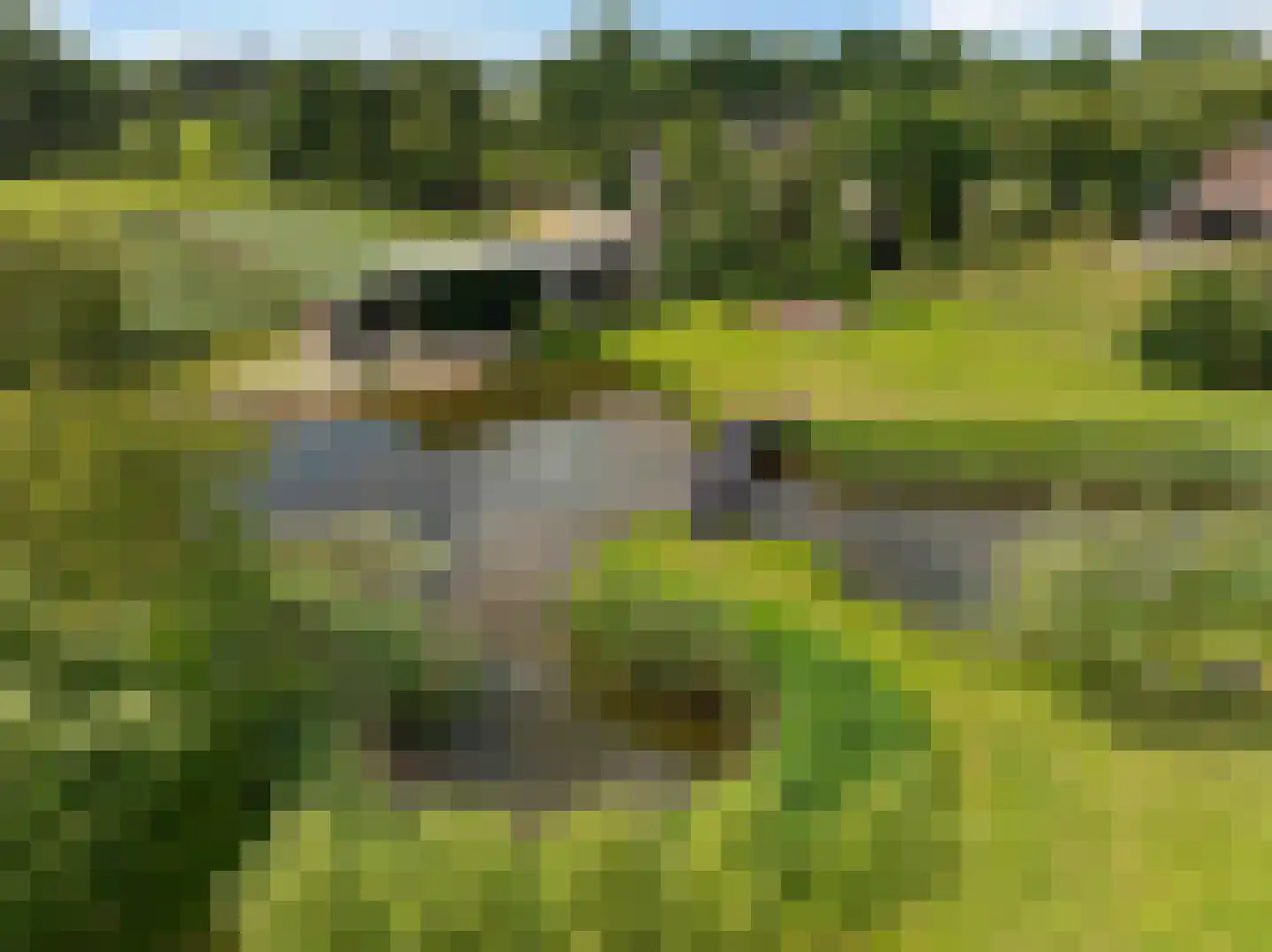 Europaweg 189 A Schoonebeek thumbnail 71