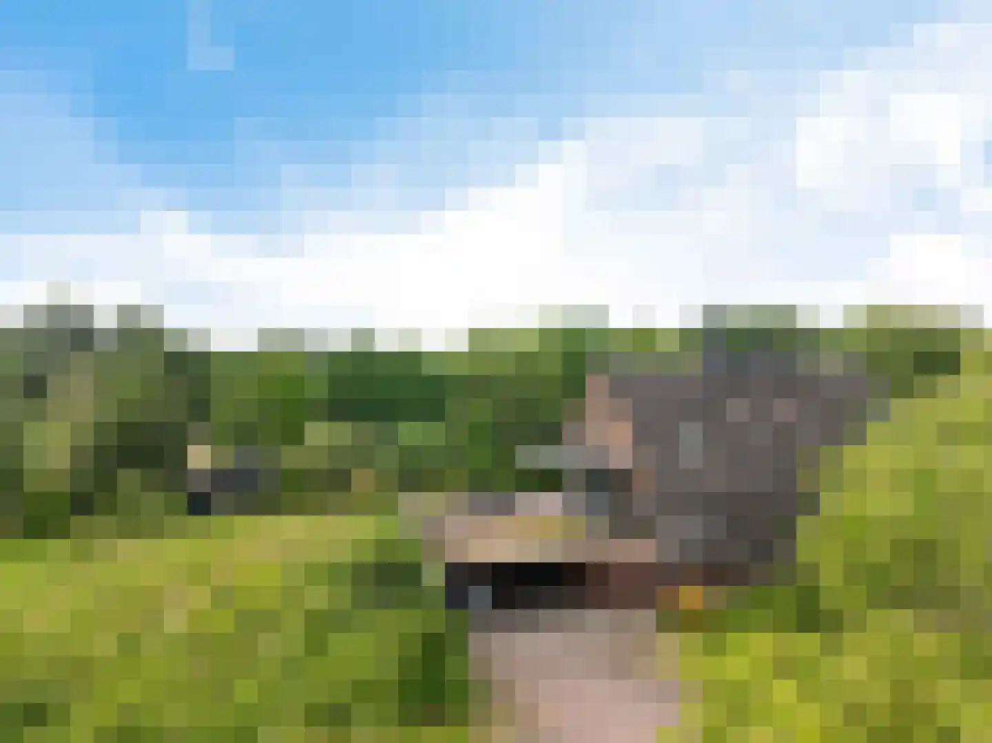 Europaweg 189 A Schoonebeek thumbnail 73