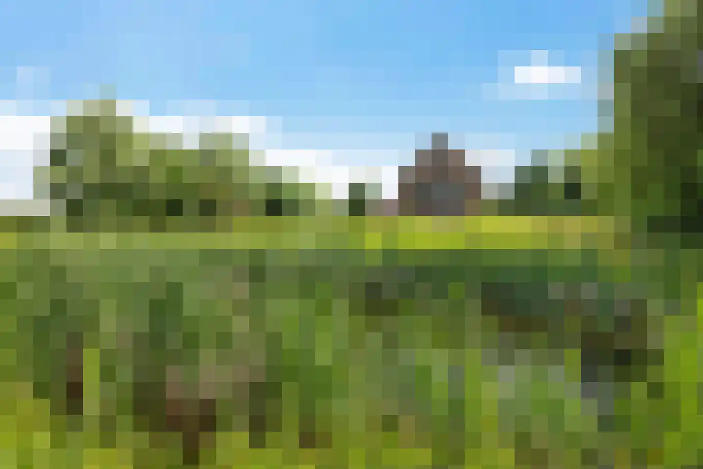 Europaweg 189 A Schoonebeek thumbnail 8