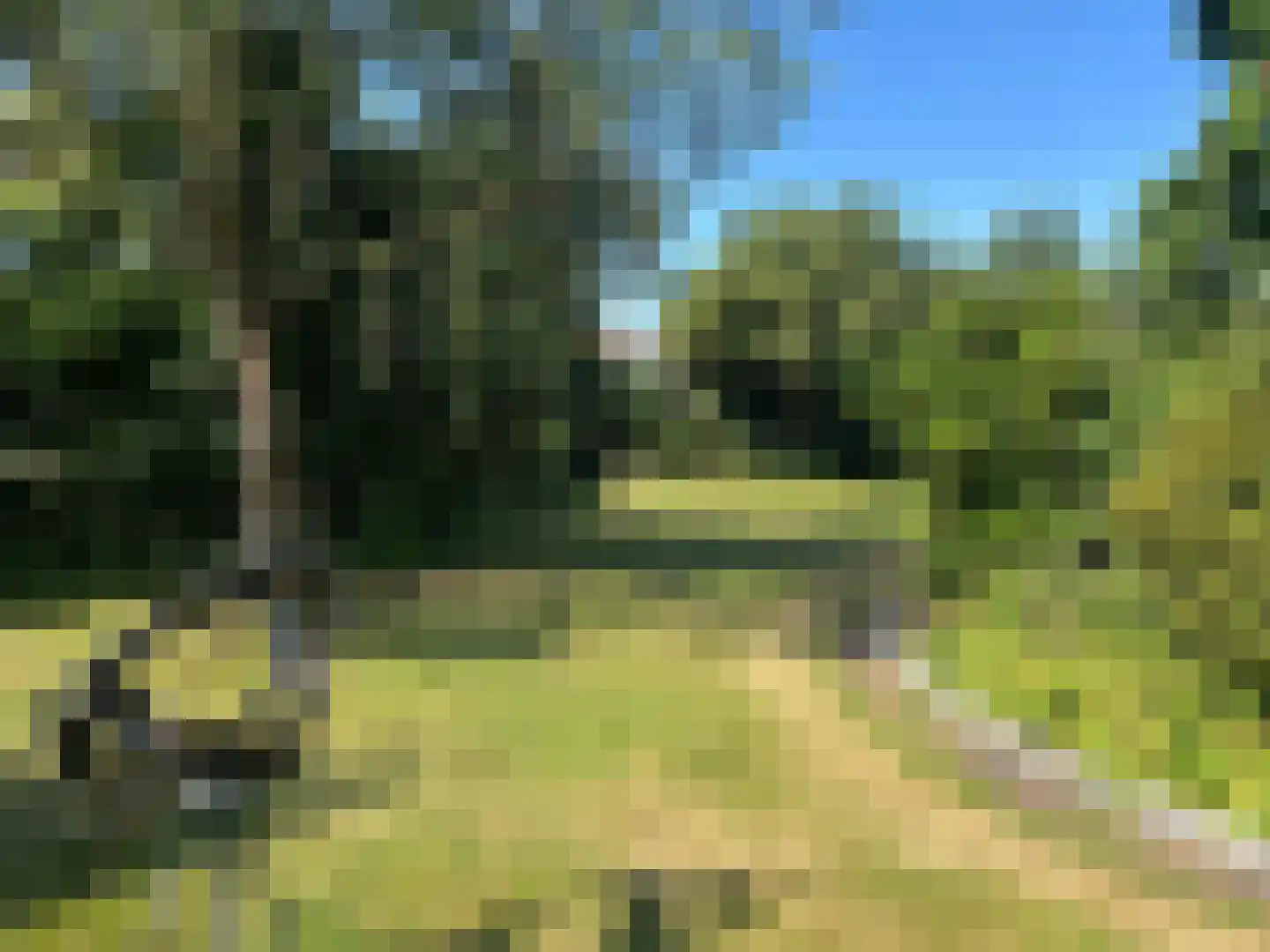 Europaweg 2 Bad Nieuweschans thumbnail 30
