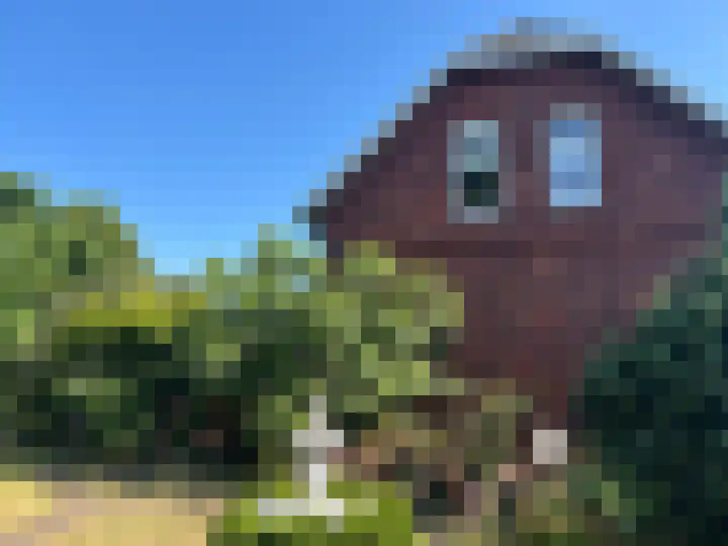 Europaweg 2 Bad Nieuweschans thumbnail 37