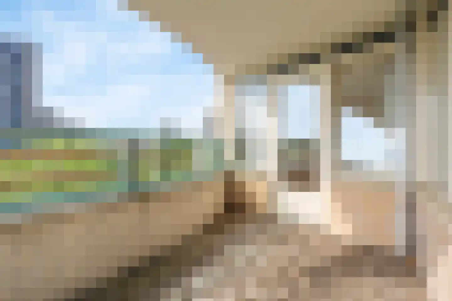 Europaweg 210 Zoetermeer thumbnail 11