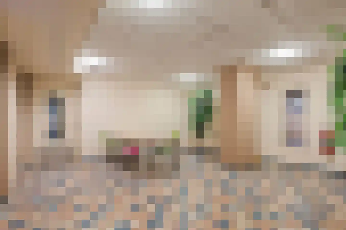 Europaweg 210 Zoetermeer thumbnail 26