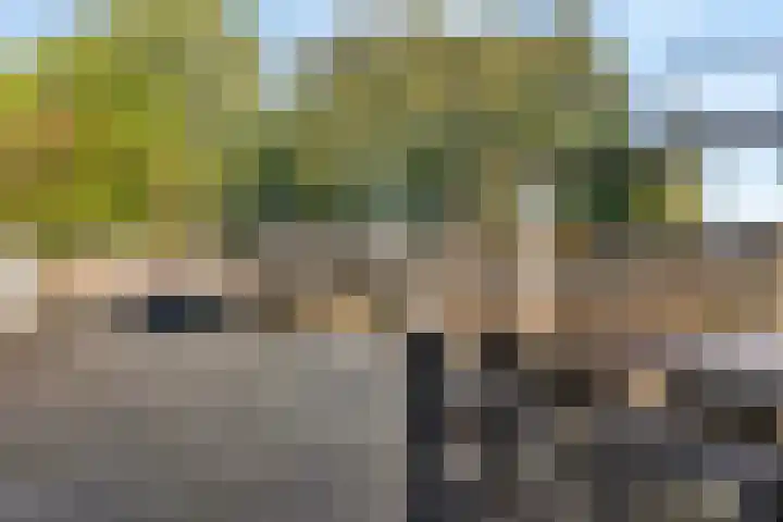 Europaweg 24 H Zwijndrecht thumbnail 17