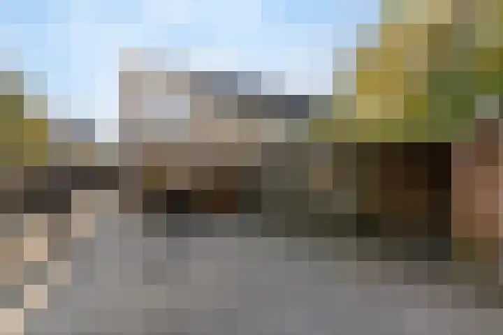 Europaweg 24 H Zwijndrecht thumbnail 19