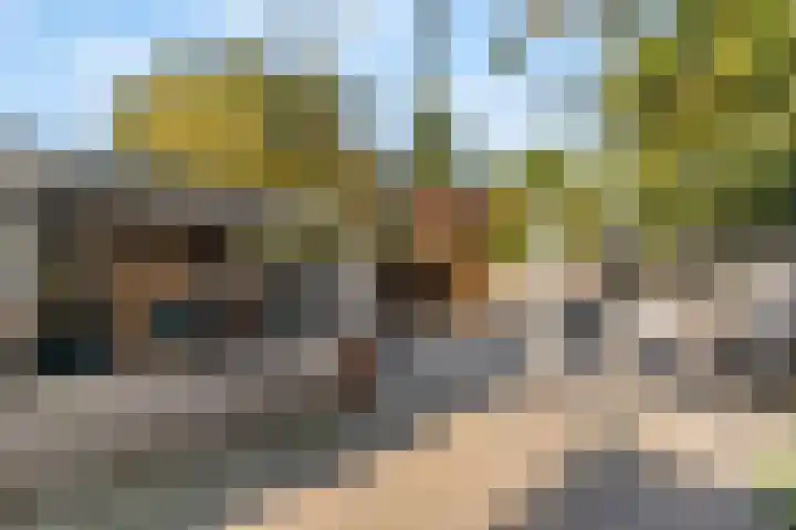Europaweg 24 H Zwijndrecht thumbnail 20
